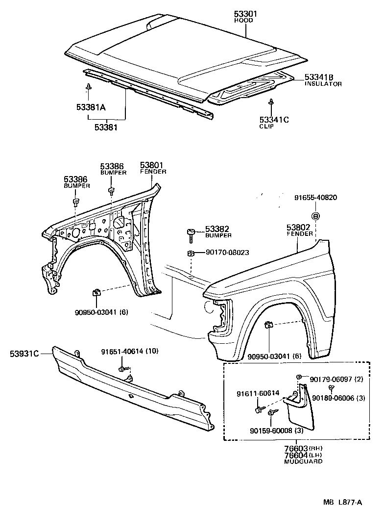 Hood and Fender